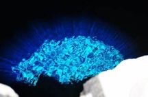 Full-day tour - Salt Mine, Blue Eye, Shark Watch and Kite Beach