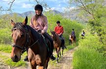 Horseback Riding Experience with transport from Dubrovnik 