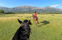 Horseback Riding Experience with transport from Dubrovnik 
