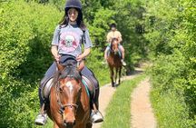 Horseback Riding Experience with transport from Dubrovnik 