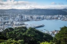 Private custom tour with a local guide Wellington