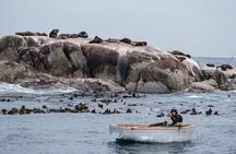 Private Cape Point / Peninsula Tour