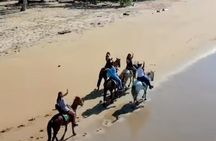 AMBER COVE-TAINO BAY Horses Beach Ride & City Sightseeing 