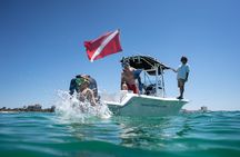 Private Crab Island, Snorkeling, and Dolphin Cruise in Shalimar