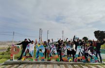 FULL DAY PARACAS -HUACACHINA from Lima