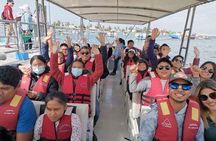 FULL DAY PARACAS -HUACACHINA from Lima