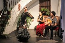 Seville: Fun class to approach Flamenco