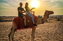  Evening Desert Safari + Quad bike with 4x4 Home/Hotel Pickup 