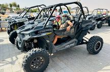 Dubai Desert Safari with BBQ Dinner & Shows from Ras Al Khaimah