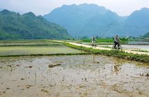 Full Day Motorbike Tour in Pu Luong Nature Reserve