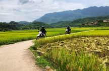 Full Day Motorbike Tour in Pu Luong Nature Reserve