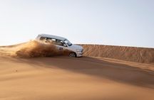 Dubai Half-day Red Dunes bashing with Sandboarding, Camel &Falcon