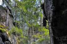From Vilnius: Private Day Tour to Wolfs Liar (Hitler's bunker)
