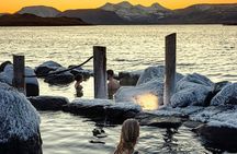 Private Golden Circle Tour (1-7pax)