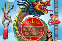 Amazing Acrobats: Grand Shanghai Circus Show