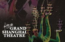 Amazing Acrobats: Grand Shanghai Circus Show