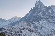 Mardi Himal Trek 4N-5D