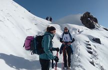 Mardi Himal Trek 4N-5D