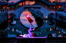 Amazing Acrobats: Grand Shanghai Circus Show