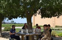 Private Valparaiso Visit William Cole Winery & Transfer to Hotel
