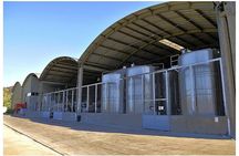 Private Valparaiso Visit William Cole Winery & Transfer to Hotel