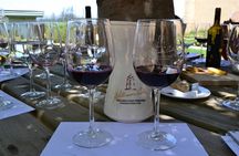 Private Valparaiso Visit William Cole Winery & Transfer to Hotel
