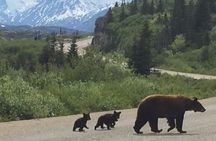 7 Hour Private Emerald Lake Van Excursion