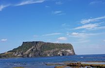 Jeju island private DAY Tour - South of Jeju