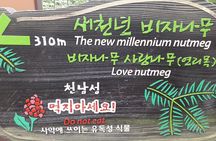 Jeju island private DAY Tour - South of Jeju