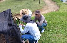 5-Hour Coffee and Pablo Express Mix Tour in Medellín