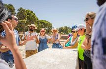 Private Walking Tour of Carthage Archaeological Site in Tunisia