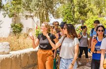 Private Walking Tour of Carthage Archaeological Site in Tunisia