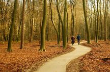 Kröller Müller Museum and Veluwe National Park Private tour