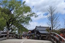 Chartered Private Tour - Tokyo to Nikko, Toshogu, Edo Wonderland 