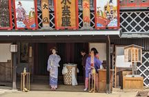 Chartered Private Tour - Tokyo to Nikko, Toshogu, Edo Wonderland 