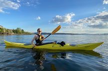 Oslo Sea Kayak Tour: Explore The Incredible Oslofjord 