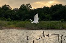 Sunset and Glow Guided Kayaking Tour Grapevine Lake