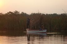  Mangroves and birdwatching in Monterrico from Quetzal Port.
