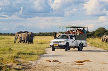 Safari in Etosha national park with professional tour guides born in Etosha.