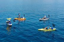 Kanjac Kayak Fishing Cavtat