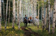 Valley Vista 1.5 Hour Horseback Trail Ride in Kananaskis