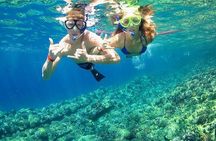 Grand Cayman Reef & Stingray City Snorkeling Adventure