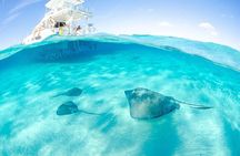 Grand Cayman Reef & Stingray City Snorkeling Adventure