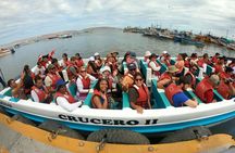 Full day Tour Paracas Ica & Huacachina from Lima.