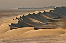 Ultimate Desert Adventure: Buggy Ride, Camel Ride & Dune Bashing