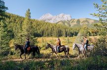 Valley Vista 1.5 Hour Horseback Trail Ride in Kananaskis