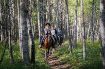 Valley Vista 1.5 Hour Horseback Trail Ride in Kananaskis