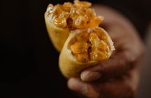Market tour & Peruvian Cooking Class in Cusco