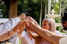 Full Day Guided Wine Tour in Mt Tamborine From Brisbane