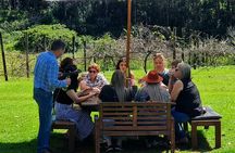 Full Day Guided Wine Tour in Mt Tamborine From Brisbane
